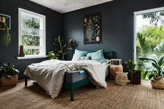 Plants that help you sleep Plants that help you sleep