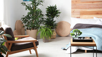 18 Feng Shui Bedroom Tips - Our Dos & Dont's 18 Feng Shui Bedroom Tips - Our Dos & Dont's