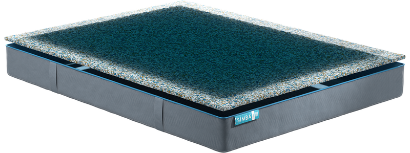 Hybrid pro simba 2025