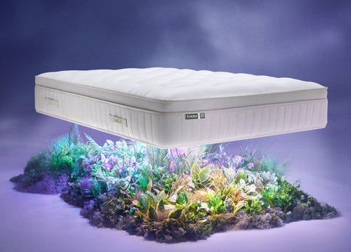 Natural Hybrid® Apex Mattress
