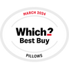 Pillow Hybrid: Which? Best Buy 2024