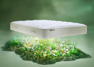 Earth Source Mattress