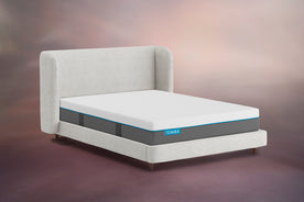 Pegasus Bed, Refurbished